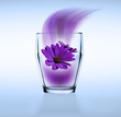 flower in my glass
