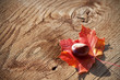 Verträumte Herbststimmung