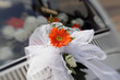 Wedding ribbon