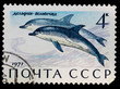 Postal stamp. Common dolphin, 1971 Postal stamp. Common dolphin, 1971