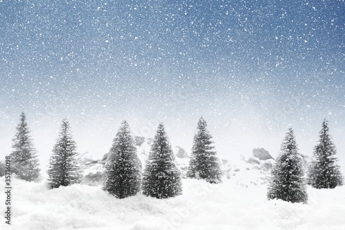 Photo: Fir trees with snowfall Fir trees with snowfall