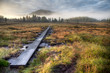 Wanderweg vor Sonnenaufgang in Schweden Wanderweg vor Sonnenaufgang in Schweden