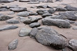 Coast of Atlantic Ocean  in England