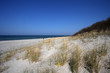 Ostseestrand und Dünen Ostseestrand und Dünen