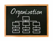 Organization