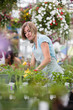Woman spraying water on plants Woman spraying water on plants