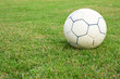 Ball in the yard. Ball in the yard.