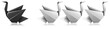 Different black swan metaphor