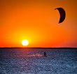 kite at sunset