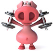 Cochon et poids