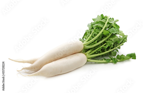 Photo: Daikon radishes isolated on white background Daikon radishes isolated on white background