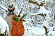 Wanderer im Schnee