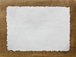 Vintage grunge burnt paper1