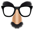 Groucho mask