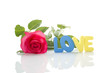 Red Rose and the text of LOVE