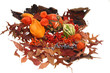 Herbstliche Dekoration mit Kürbis Herbstliche Dekoration mit Kürbis