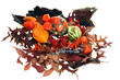 Herbstliche Dekoration mit Kürbis Herbstliche Dekoration mit Kürbis