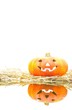 Calabaza de halloween sobre paja y con reflejo.