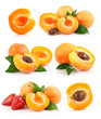set apricot fruits with green leaf set apricot fruits with green leaf