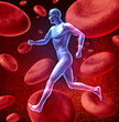Human circulatory blood system