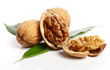 Close up of fresh walnut Close up of fresh walnut