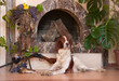 Bird dog fireplace wine Bird dog fireplace wine