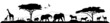 Savannen Silhouette Landschaft Tiere