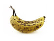 Bananes Bananes