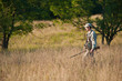Hunter in countryside Hunter in countryside