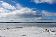 Sea ice