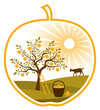 rural landscape in apple