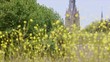 Flowers and church in Holland