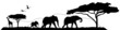 Savannen Silhouette Landschaft Tiere