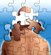 Puzzle Mind