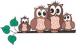 owl family owl family