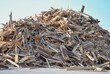 recyclage bois 2011 09