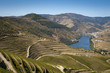 Douro region
