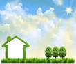 House on green field