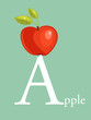 Colorful abc, letter A vector illustration