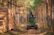 Rückezug im Wald