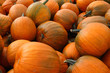 Pumpkins