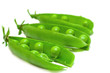 Fresh green pea in the pod