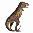 Photo en ligne au meilleur prix Tyrannosaurus Rex 01