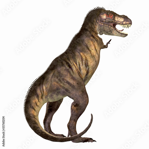 Illustration: Tyrannosaurus Rex 01 Tyrannosaurus Rex 01