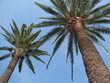 cote d'azur