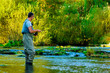 Fly Fisherman Fishing