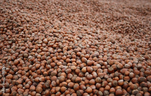 Photo: Hazelnuts Hazelnuts