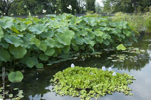 Photo: Garden near Lake Garda in Northern Italy Garden near Lake Garda in Northern Italy