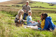 Young adults on country picnic