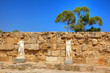 Ancient Roman site in Salamis